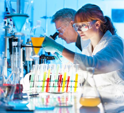 Many biochemists conduct research or teach at colleges or universities.