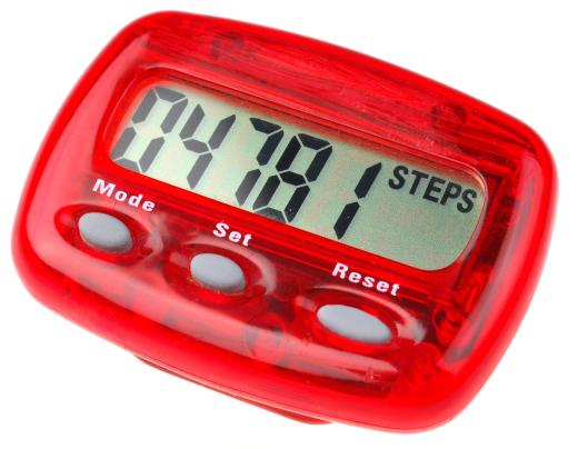 A pedometer can be used by adult for participation monitoring in the President's Challenge.