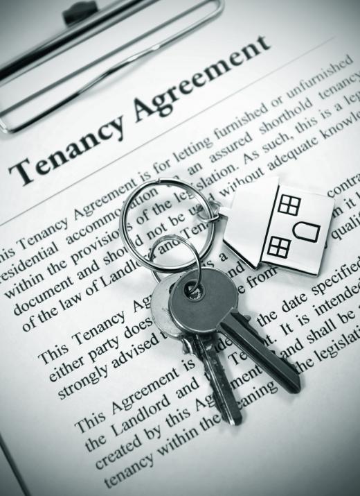 Tenant rights include lease agreements.