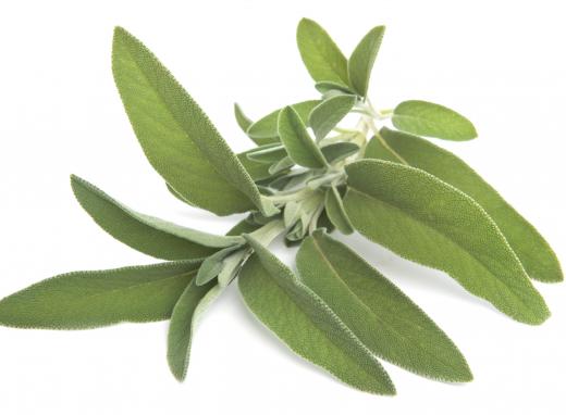 Sage can be used as an accent to flavor many foods including roasts, soups and stuffing.