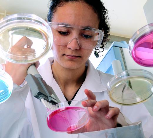 A scientist works in a genetics lab.