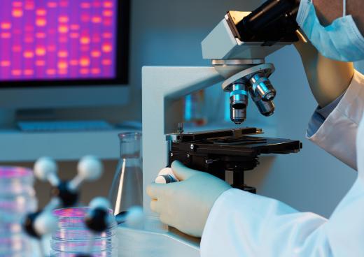 Microscopes are just one tool used by molecular biologists, who often also require sophisticated equipment such as liquid chromatographs, thermocyclers, phosphoimagers or electrophoresis units.