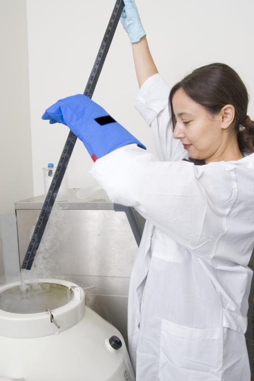 A person working in a lab.