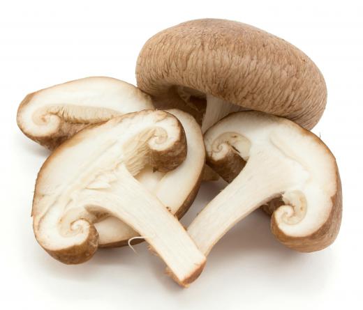 Shiitake mushrooms are a popular, easy-to-grow variety.