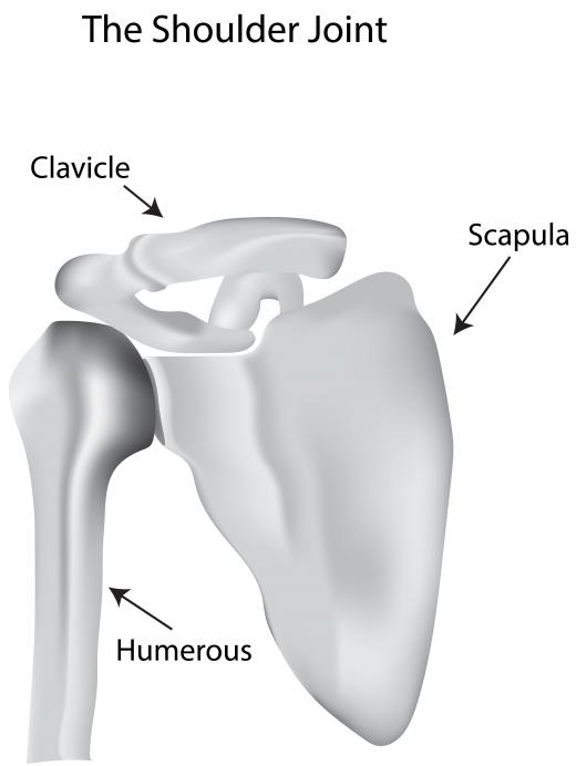 Injury to the scapula, also known as the shoulder blade, can cause upper arm pain.