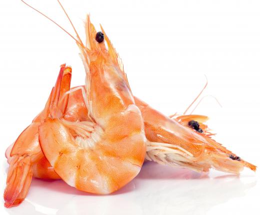 Shrimp, which are often steamed.