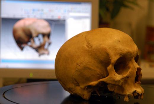 A forensic scientist analyzes evidence and gives testimony in court.