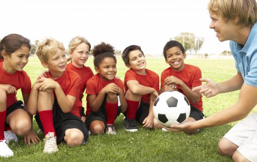 Sports coaches may work with children.