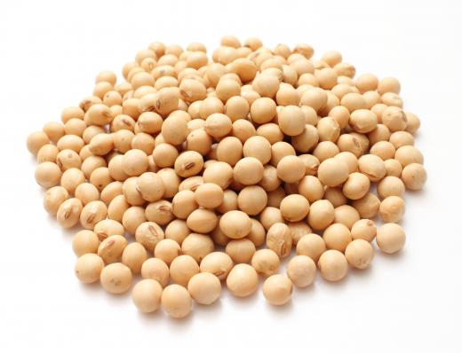 Soybeans, which contain phosphatidylcholine.