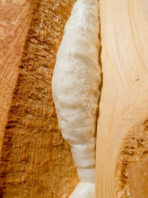 Spray foam insulation increases energy efficiency.