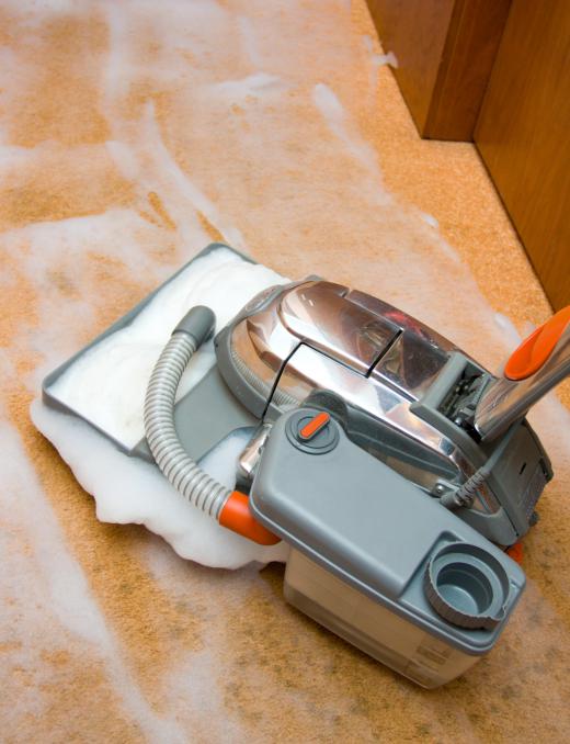 Steam cleaning a carpet may help get rid of pet odors.