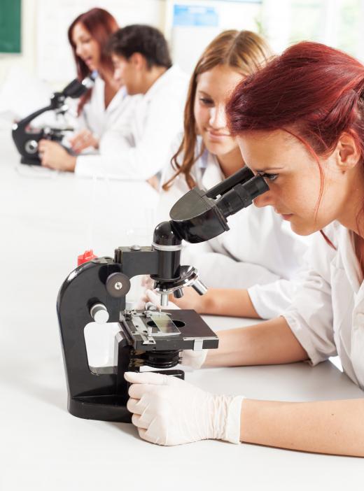 The best programs require on-site lab work in addition to distance learning classes.