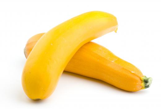 Yellow squash is a key ingredient in most squash casseroles.