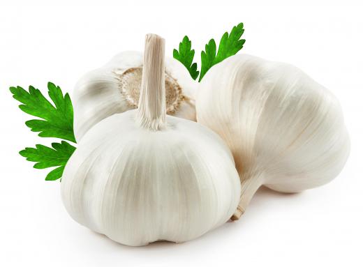 Elephant garlic is a variety of garlic that has very large cloves.