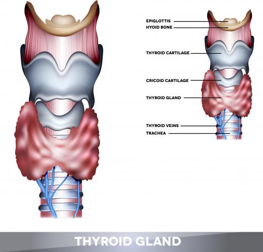 Thyroid hormone biosynthesis is often dependent on the transport of iodine through the membrane of the follicular cells.