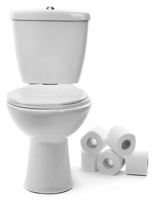 A toilet is a plumbing receptacle for human waste.