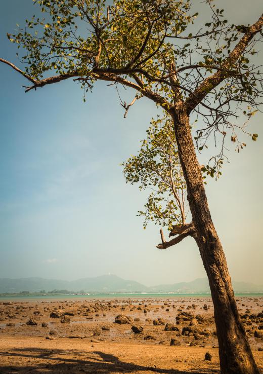 Evaporated coolers are used for climate control in extremely arid regions.