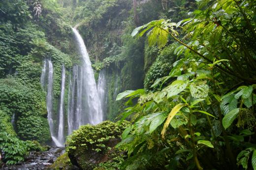 The relaxing sounds of a waterfall can be used to overcome stress.