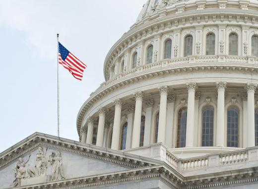 All members of the U.S. House of Representatives have a say in the budget of the Federal Government.