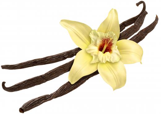 Vanilla aromatherapy oil is made from the essential oil of the vanilla bean.