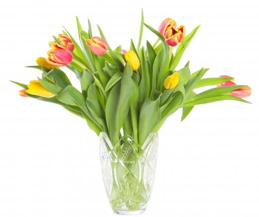 Most bulb-based plants, like tulips, grow well in partial shade.