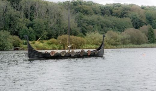 Norwegian forest cats are associated with viking history.