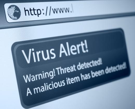 Malicious computer viruses may be downloaded from the Internet.