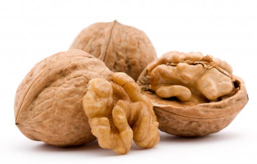 Walnuts grow on the Juglans regia tree.