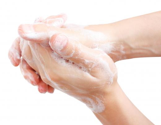 Wash hands before eating to avoid transmitting potentially dangerous organisms.