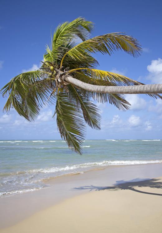 Pensacola has miles of public beaches.