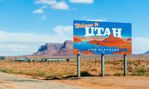 The sego lily is the state flower of Utah.