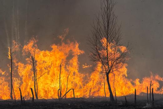 A state of emergency alerts citizens located in areas near forest fires to be prepared in case evacuation is necessary.