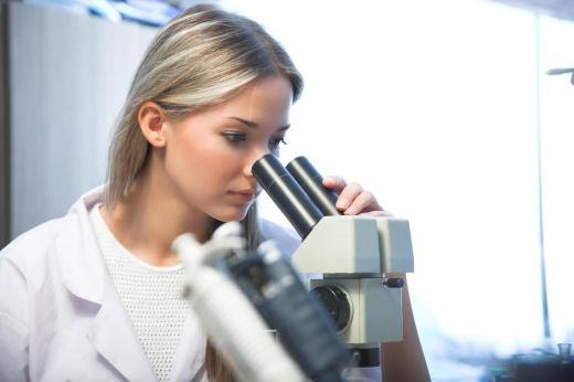 A doctor uses a microscope to look for blood in a patient's urine sample.