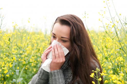 Runny noses and coughs may be caused by plant allergies.