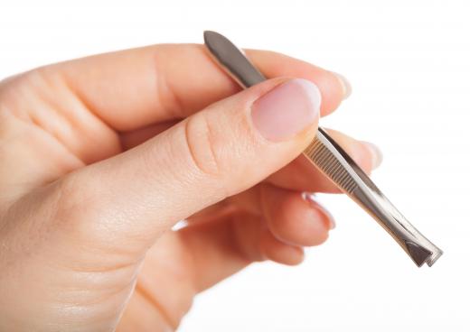 Blunt tweezers can be used to detach an engorged tick from the skin.