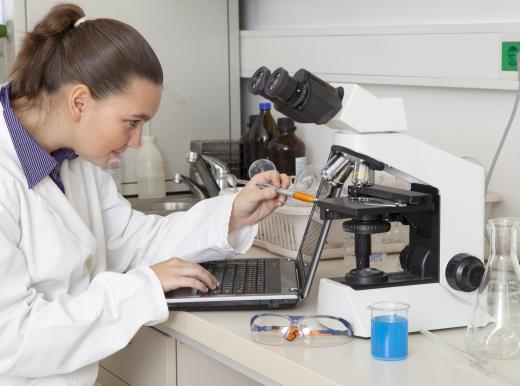 Technologists may work in clinical chemistry, hemotology or microbiology.