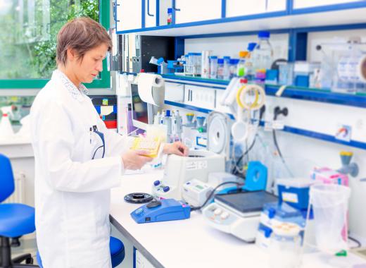 Chemistry technicians perform routine tests on samples.