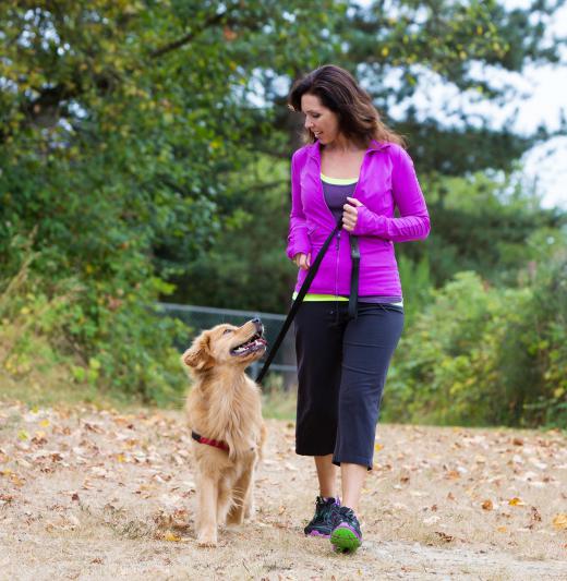 Training a therapy dog can be both time-consuming and rewarding.