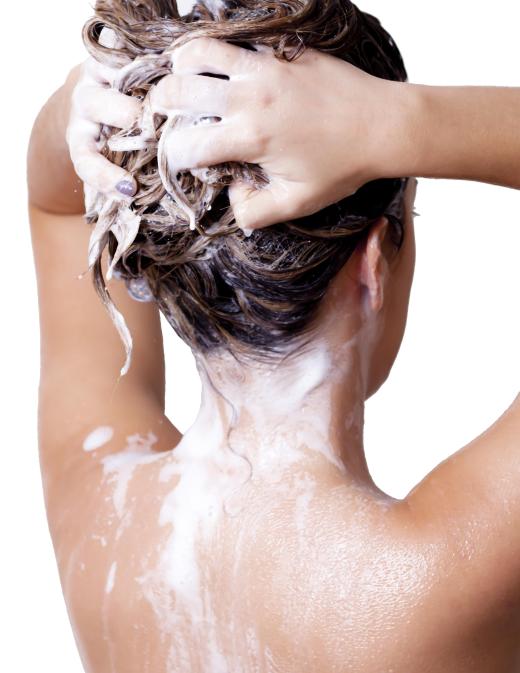 Hair oil usually begins at the scalp.