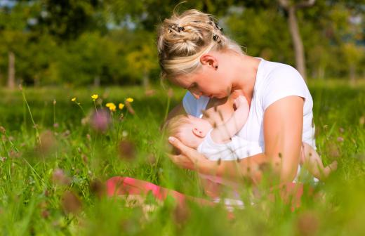 Mammary glands produce all the breast milk a baby needs for the first three months of life.