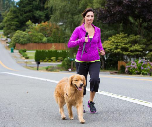 A professional dog walker helps busy clients make sure their dog gets enough exercise.