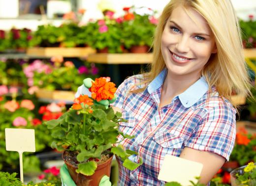 Nursery managers often interact with customers, recommending plants for different gardening and landscaping needs.