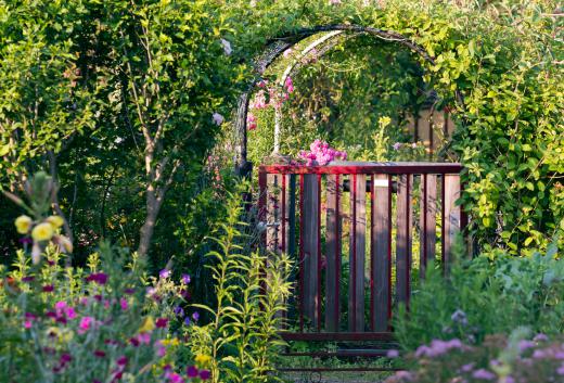 Hydrangeas and rhododendrons grow well in a shade garden.