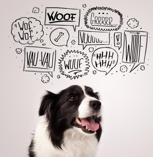 The onomatopoeia "woof," or the sound a dog makes, varies throughout the world.