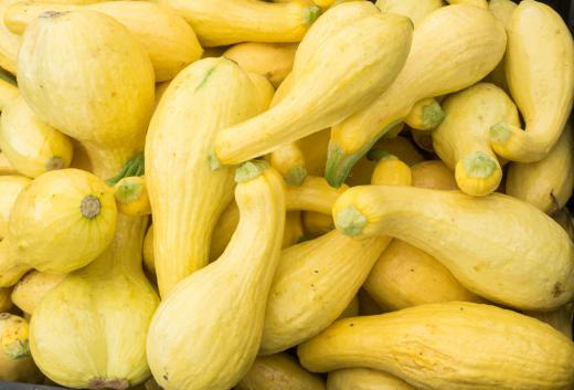 Crookneck squash can be cooked or eaten raw.