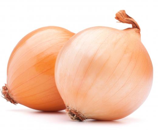 Sometimes a variety of onions are used when pickling.