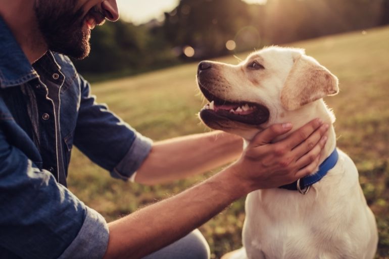 emotional support dog