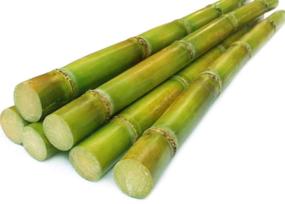 What are Some Advantages of Sugarcane Ethanol? (with pictures)