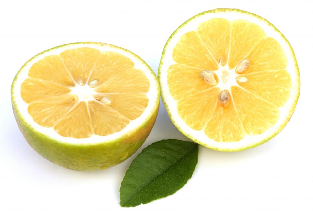 Bergamot Orange