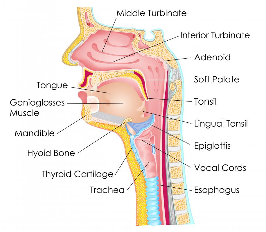 throat above Deep from